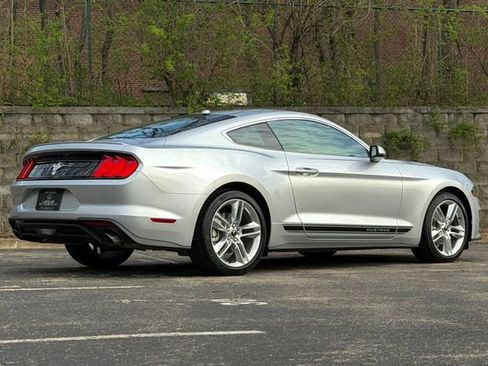 Used 2019 Ford Mustang Premium w/ Equipment Group 201A image 3