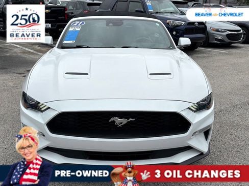 Used 2021 Ford Mustang Premium RWD image 3