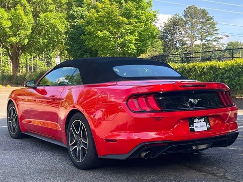 Used 2019 Ford Mustang Premium RWD image 3