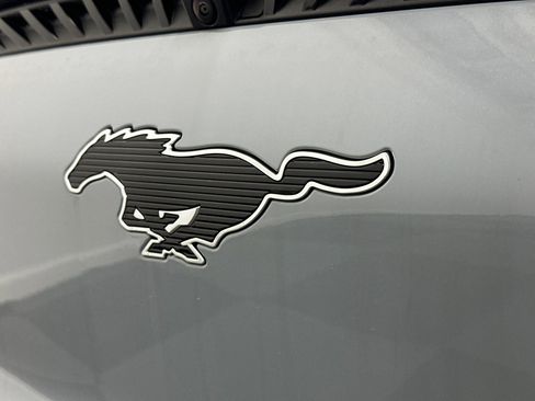New 2024 Ford Mustang Mach-E Select w/ Comfort Package Lite image 12