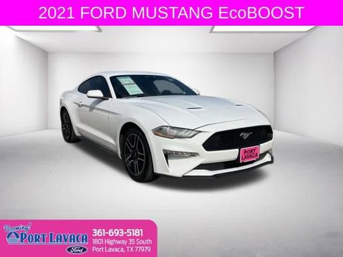 Used 2021 Ford Mustang Coupe w/ Equipment Group 101A image 1