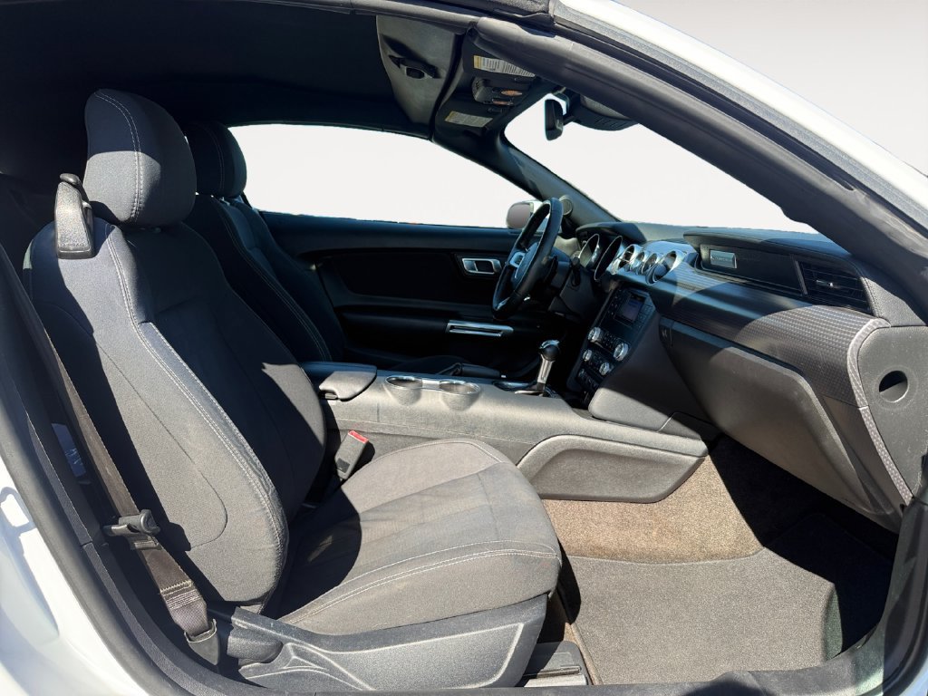 Used 2019 Ford Mustang Convertible w/ Ecoboost Performance Package RWD image 15