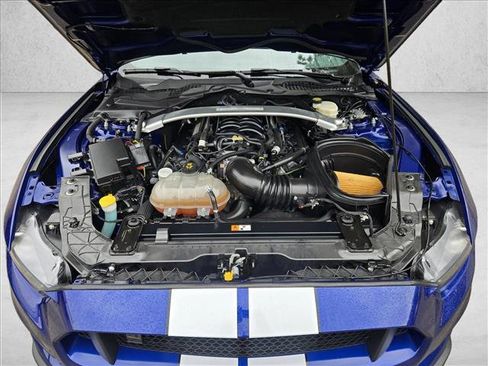 Used 2016 Ford Mustang Shelby GT350 w/ Track Package image 11