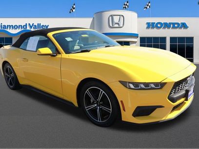 Used 2024 Ford Mustang Premium