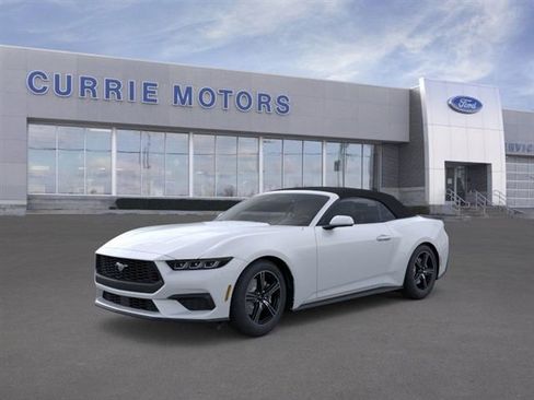 New 2025 Ford Mustang EcoBoost image 1