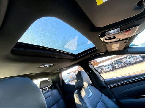 Used 2023 Hyundai Santa Cruz Limited image 11