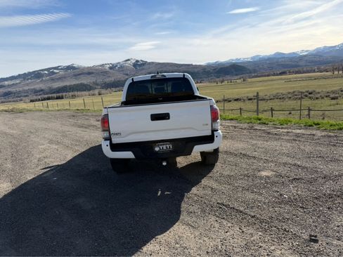 Used 2023 Toyota Tacoma TRD Off-Road w/ TRD Premium Off Road Package image 14