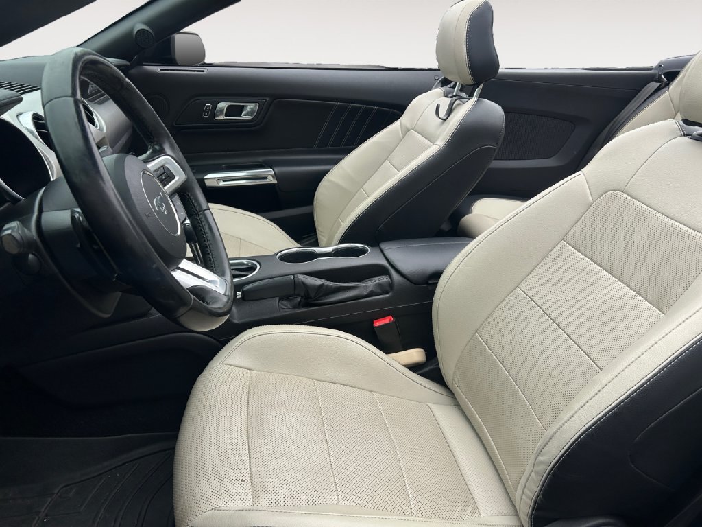 Used 2019 Ford Mustang Premium RWD image 9