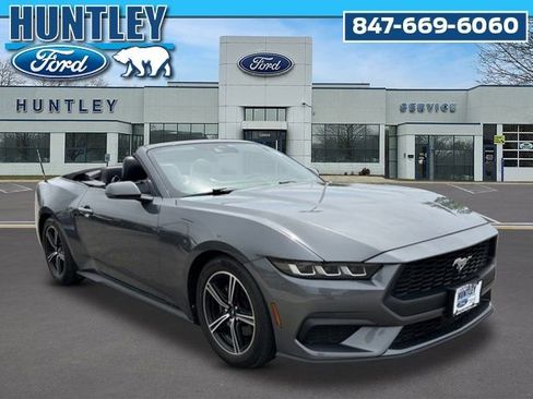 Used 2024 Ford Mustang Premium RWD image 3