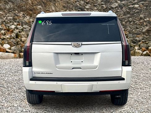Used 2019 Cadillac Escalade Luxury image 4
