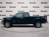 Used 2014 Ford F150 XLT w/ Equipment Group 302A Luxury image 2