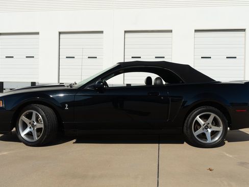 Used 2003 Ford Mustang Cobra image 6