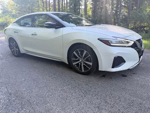 Used 2019 Nissan Maxima 3.5 SV w/ Floor Mat Group FWD image 5