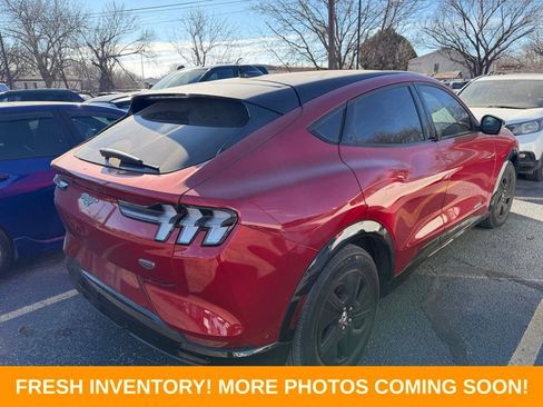 Used 2023 Ford Mustang Mach-E California Route 1 image 7