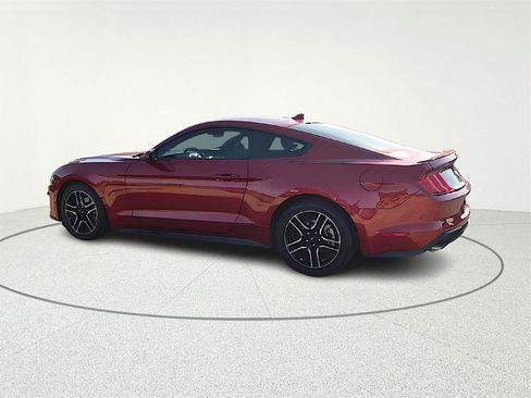 Used 2023 Ford Mustang Premium w/ Equipment Group 201A image 4