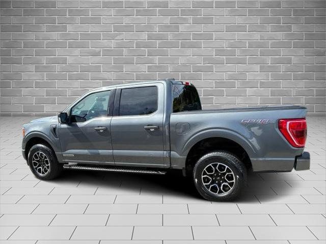 Used 2023 Ford F150 XLT w/ Equipment Group 302A High AWD/4WD image 6