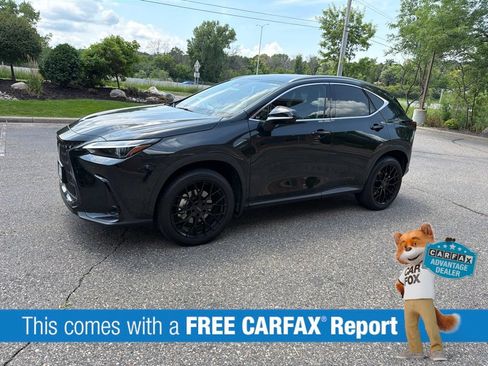 Used 2024 Lexus NX 350h AWD w/ Vision Package image 2