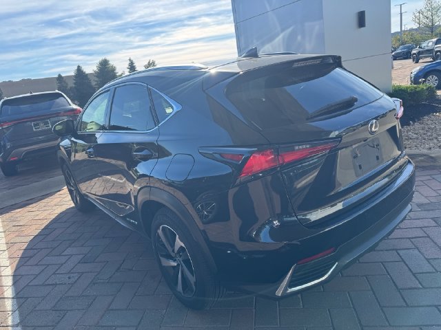 Used 2020 Lexus NX 300h AWD w/ Premium Package image 6