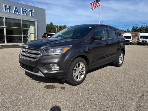 Used 2019 Ford Escape SE AWD/4WD image 7