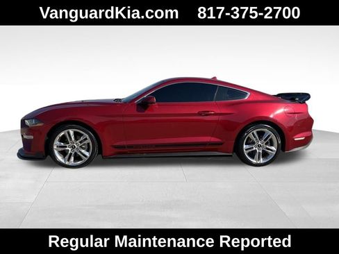 Used 2020 Ford Mustang Premium w/ Equipment Group 201A image 2