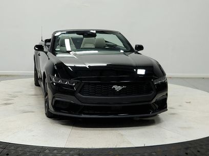 Used 2024 Ford Mustang Premium