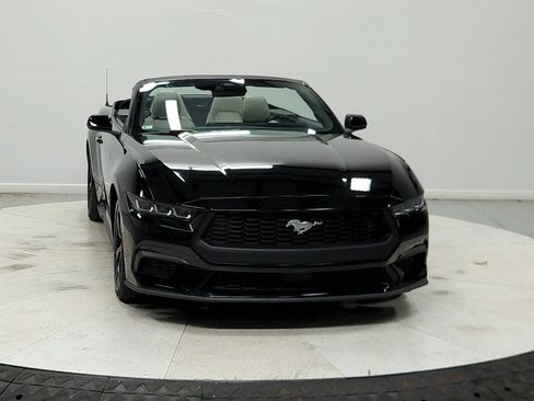 Used 2024 Ford Mustang Premium RWD image 3