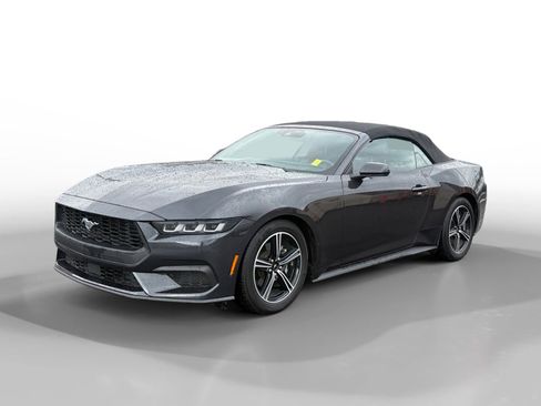 Used 2024 Ford Mustang Premium image 1