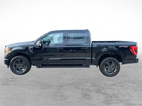 Used 2023 Ford F150 XLT w/ Equipment Group 302A High AWD/4WD image 5