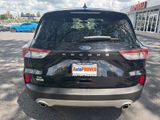 Used 2022 Ford Escape SE image 6