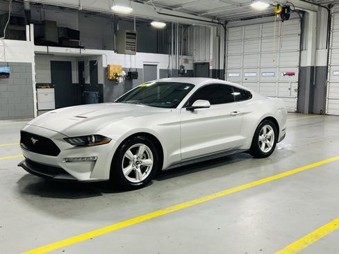 Used 2019 Ford Mustang Coupe image 13
