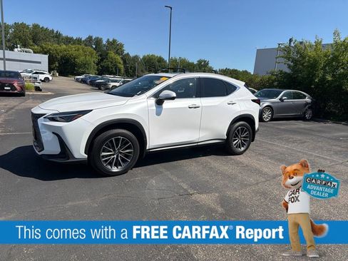 Certified 2023 Lexus NX 350 AWD image 2