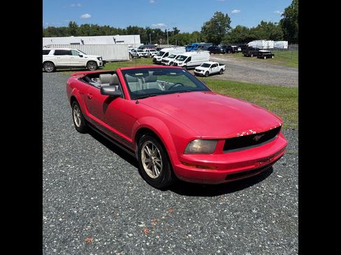 Used 2005 Ford Mustang Convertible RWD image 1
