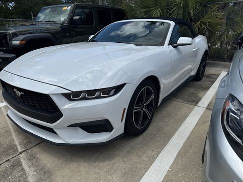 Used 2024 Ford Mustang Premium RWD image 3