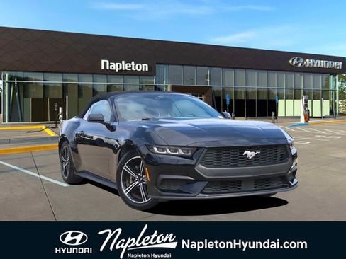 Used 2024 Ford Mustang EcoBoost image 1