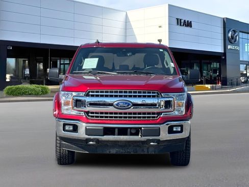 Used 2019 Ford F150 XLT w/ Equipment Group 302A Luxury AWD/4WD image 6