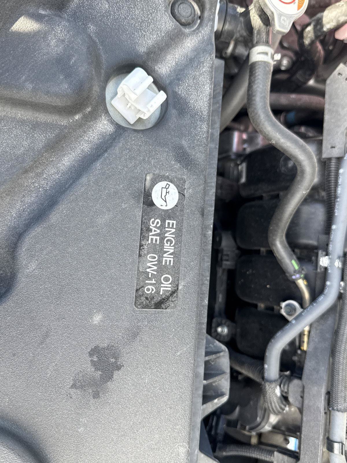 Used 2024 Toyota Sienna XSE w/ XSE Premium Package FWD image 37