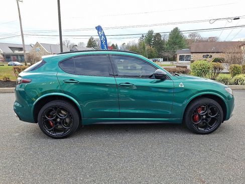 Used 2024 Alfa Romeo Stelvio Quadrifoglio image 7
