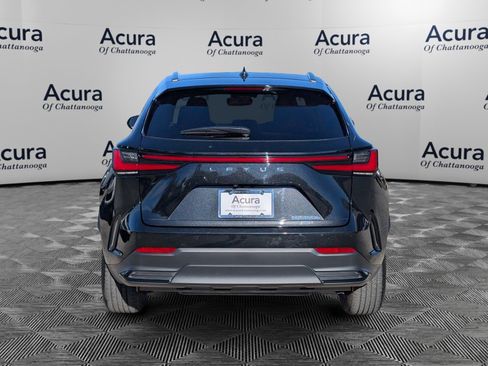 Used 2024 Lexus NX 350h AWD w/ Premium Package image 6
