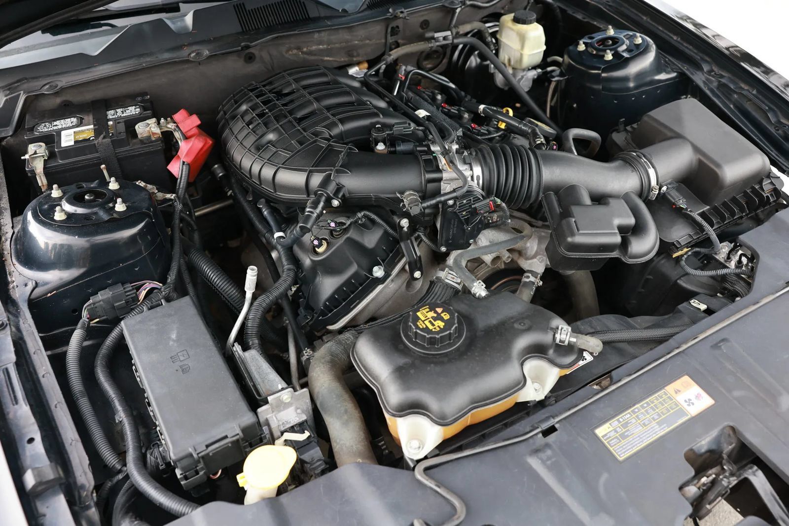 Used 2014 Ford Mustang Coupe w/ Equipment Group 102A RWD image 45