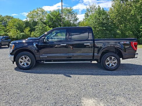 Certified 2023 Ford F150 XLT w/ Equipment Group 302A High AWD/4WD image 4