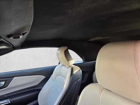 Used 2024 Ford Mustang Premium image 13