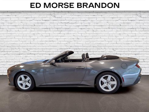 Used 2026 Ford Mustang Premium RWD image 2