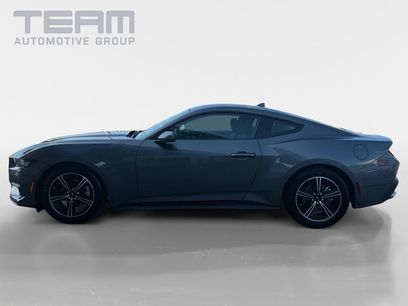 Used 2025 Ford Mustang Coupe
