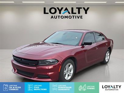 Used 2023 Dodge Charger SXT