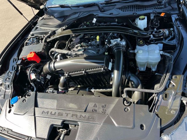 Used 2026 Ford Mustang Premium RWD image 13