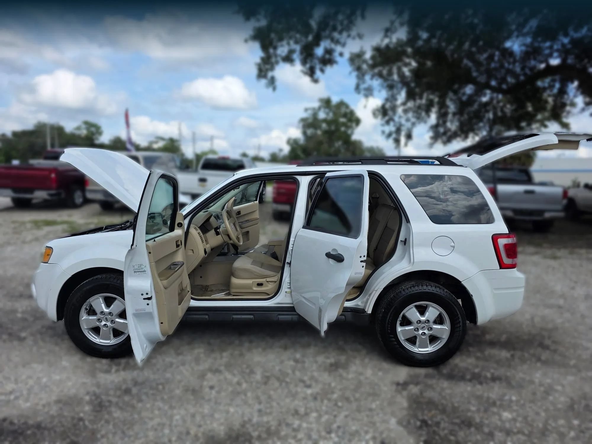 Used 2008 Ford Escape XLT FWD image 9