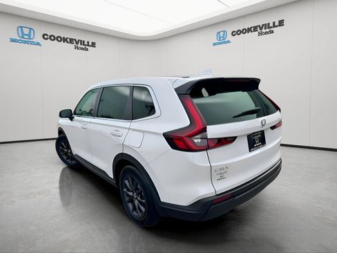 Used 2026 Honda CR-V EX-L image 5