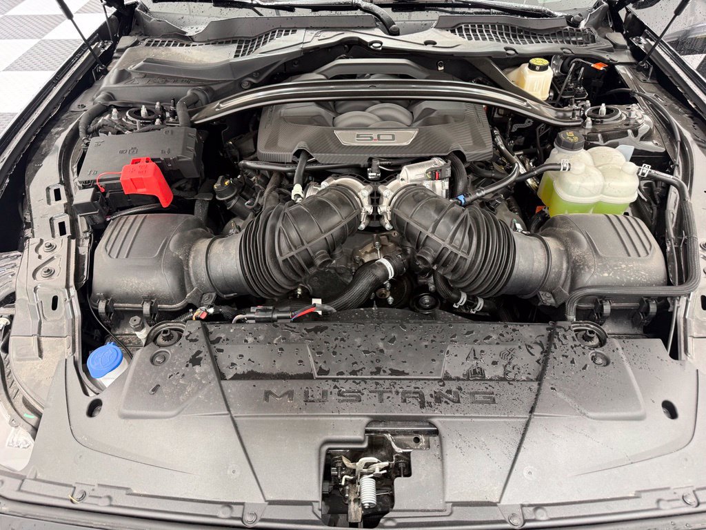 New 2026 Ford Mustang GT Premium w/ GT Performance Package RWD image 9