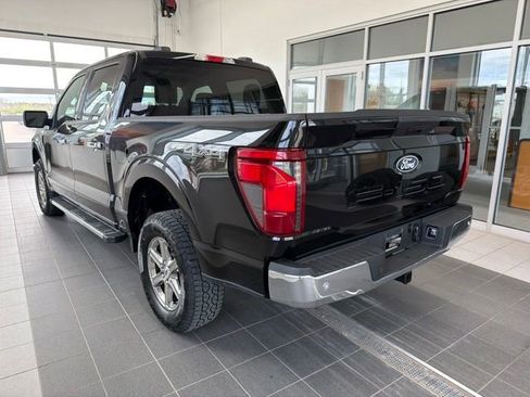 Certified 2025 Ford F150 XLT w/ Equipment Group 301A Standard AWD/4WD image 3