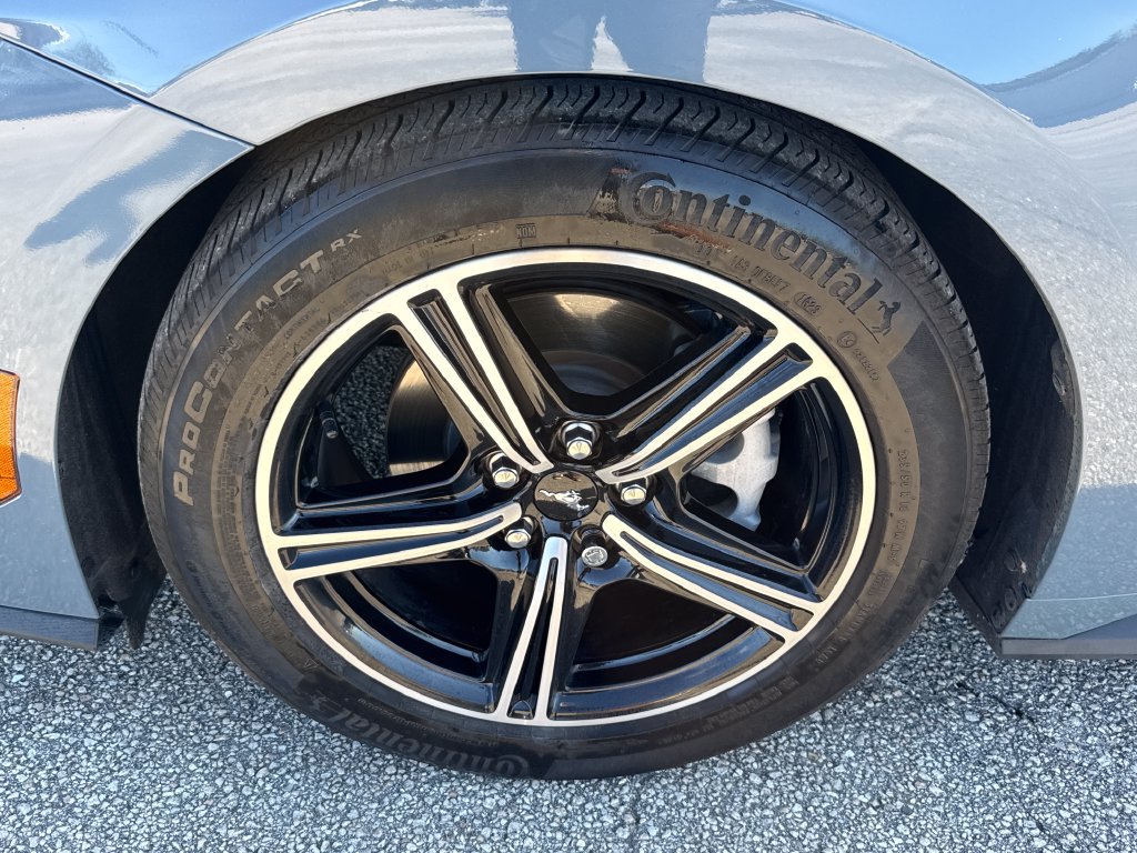 Used 2024 Ford Mustang Premium RWD image 13